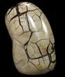 Polished Septarian Geode - Removable Section #79335-1